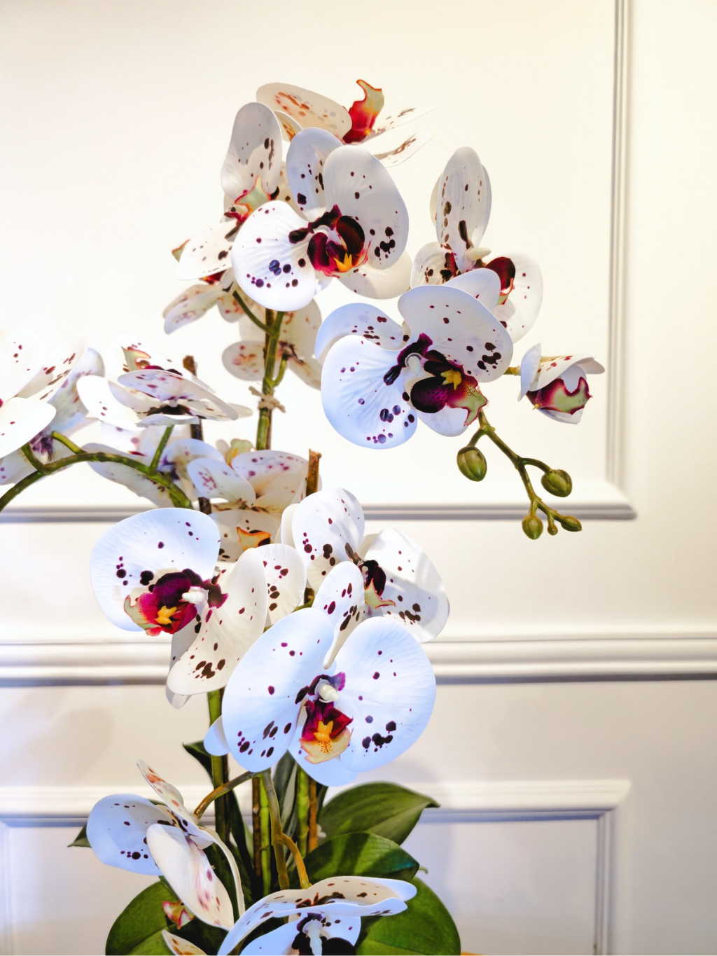 Arranjo Orquídeas Athena X4 (Rosa Tigre)