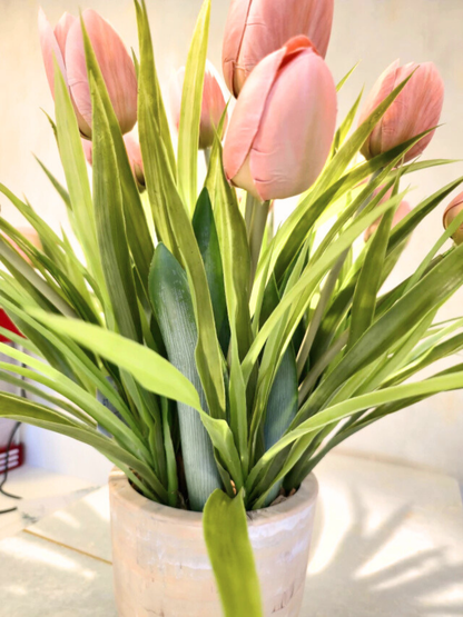 Arranjo Tulipas Marie