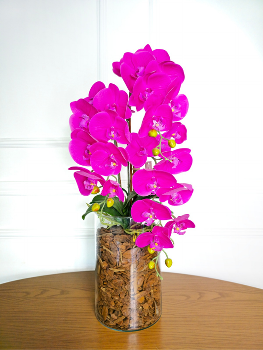 Arranjo Orquídeas Athena X3 (Rosa Pink)