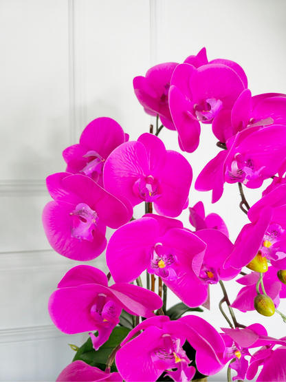 Arranjo Orquídeas Athena X3 (Rosa Pink)