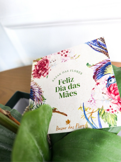 Arranjo Permanente Orquídea Branca Juta (Box Dia das Mães)