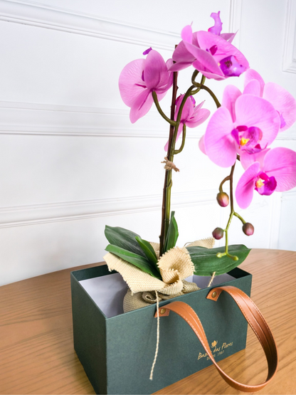 Arranjo Permanente Orquídea Rosa Juta (Box Dia das Mães)