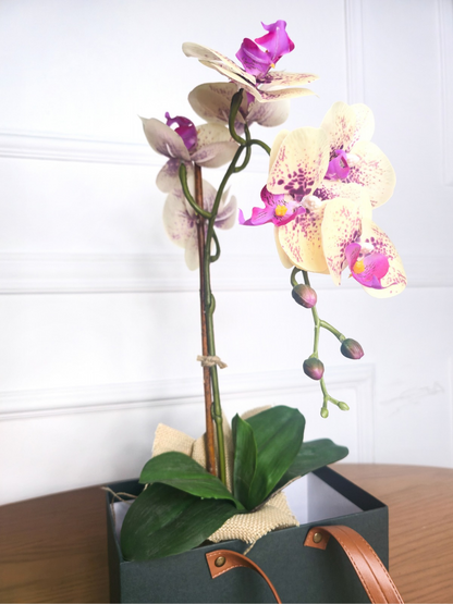 Arranjo Permanente Orquídea Amarela Juta (Box Dia das Mães)
