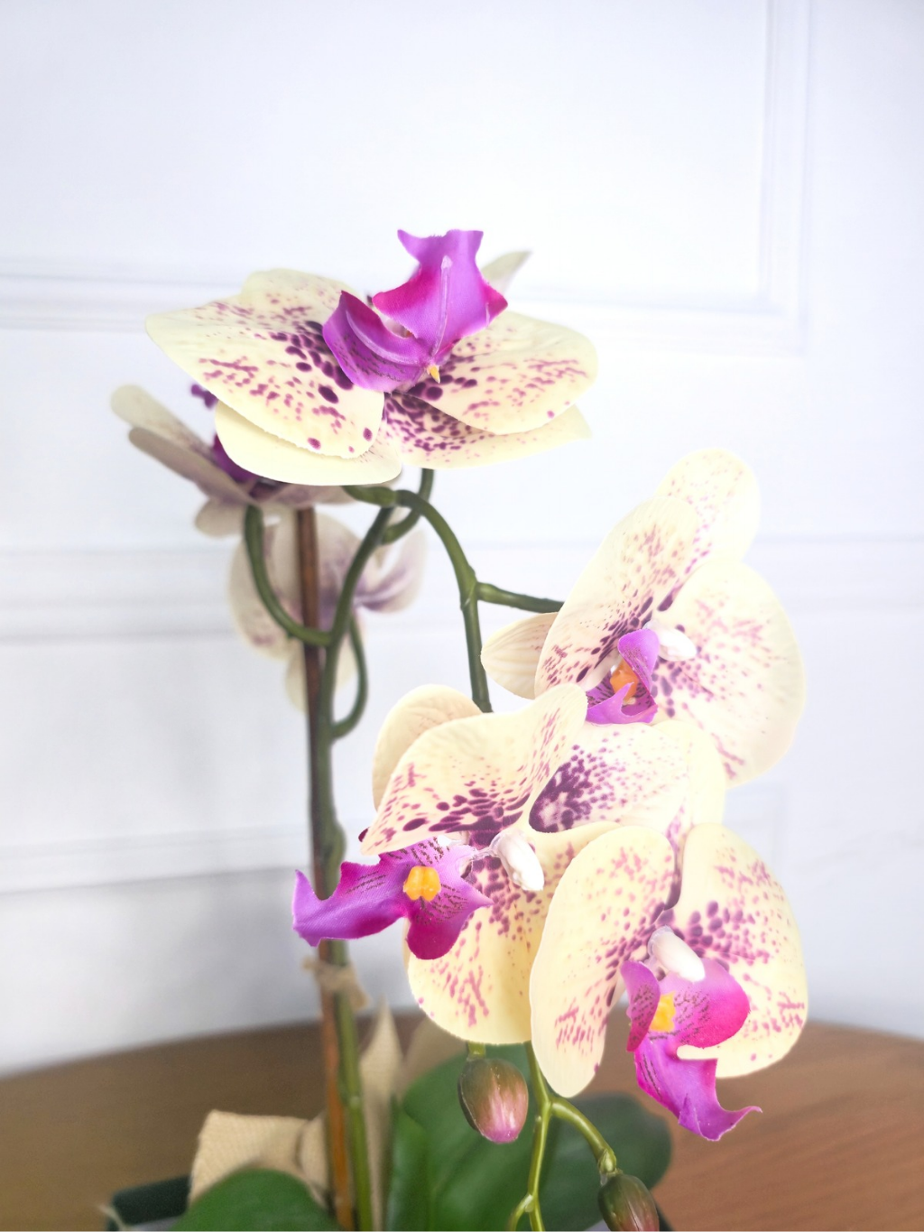 Arranjo Permanente Orquídea Amarela Juta (Box Dia das Mães)