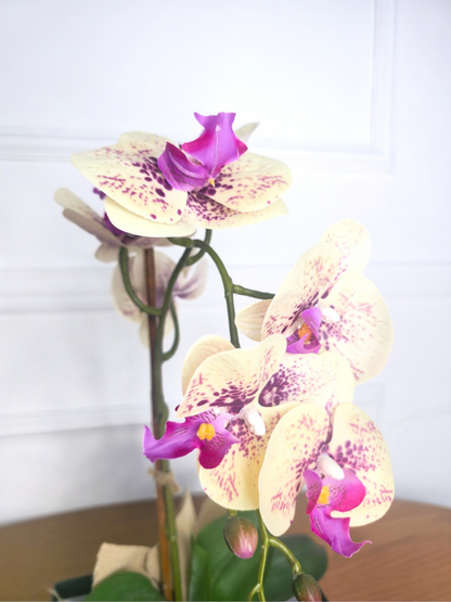 Arranjo Permanente Orquídea Amarela Juta (Box Dia das Mães)