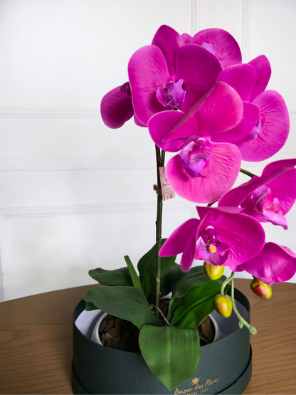 Arranjo Permanente Orquídea Pink Cerâmica (Box Dia das Mães)