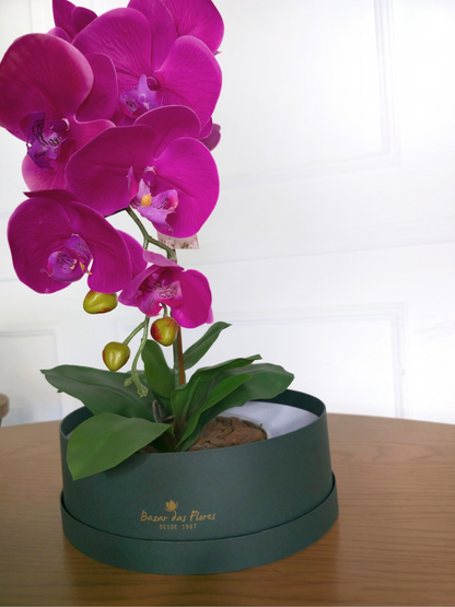 Arranjo Permanente Orquídea Pink Cerâmica (Box Dia das Mães)