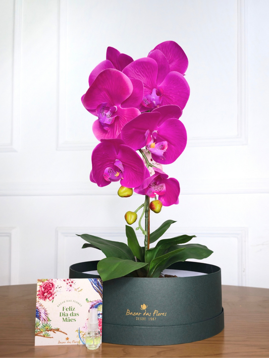 Arranjo Permanente Orquídea Pink Cerâmica (Box Dia das Mães)