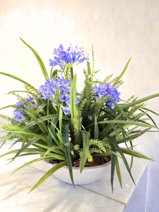Arranjo Agapanthus Lilás