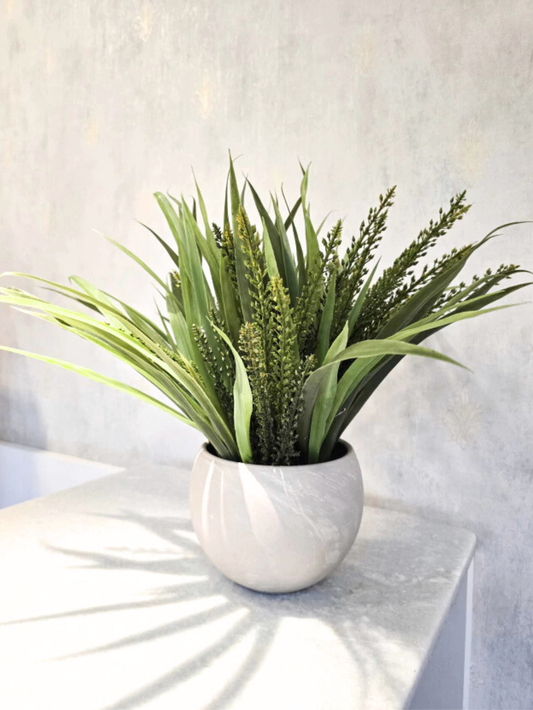 Arranjo Modern Alpha