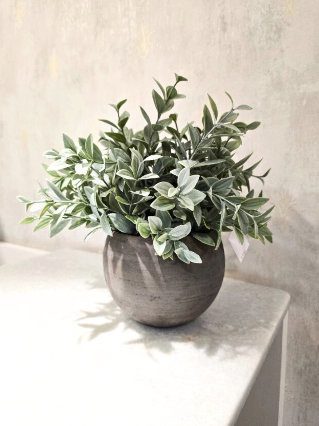 Arranjo Modern Athena