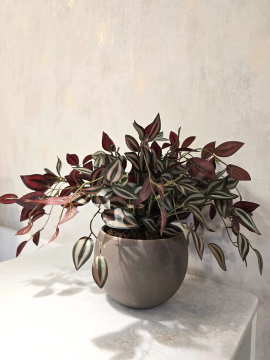 Arranjo Modern Lambari