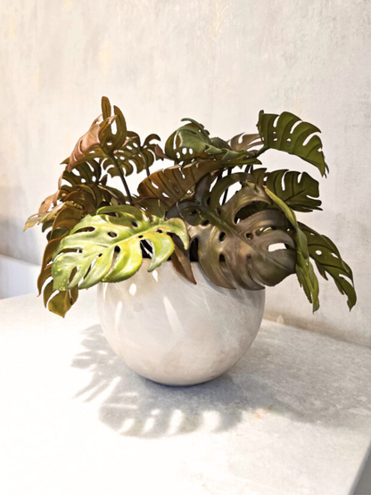 Arranjo Modern Mini Costelas (Outonado)