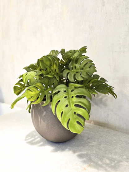 Arranjo Modern Mini Costelas (Verde)