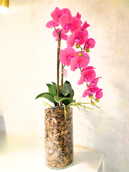 Arranjo de Orquídeas Athena (Rosa Pink)