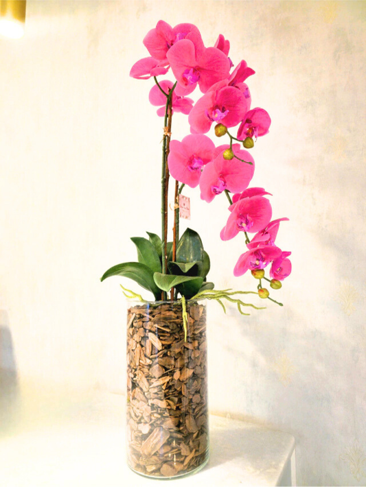 Arranjo de Orquídeas Athena (Rosa Pink)