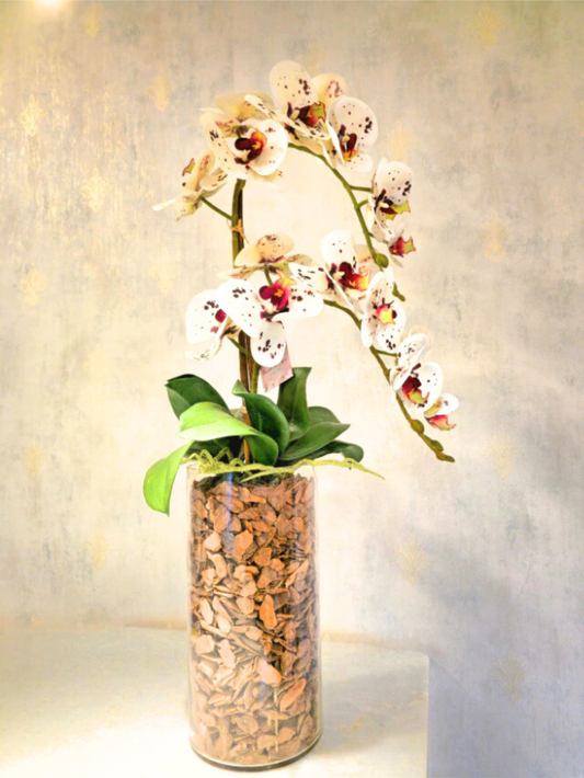 Arranjo de Orquídeas Athena (Rosa Tigre)