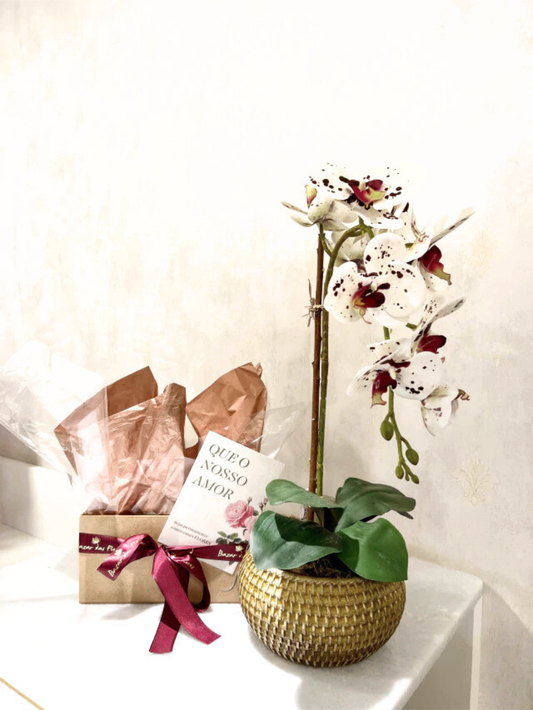 Box Arranjo de Orquídeas Athena Rosa Tigre