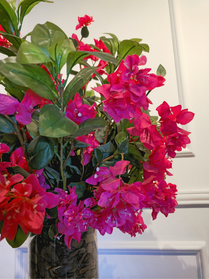 Arranjo Bougainvilleas Pink