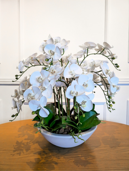 Arranjo Orquídeas Brancas Classic