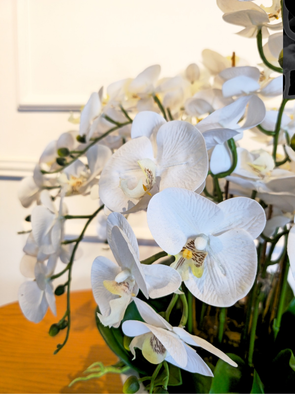 Arranjo Orquídeas Brancas Classic