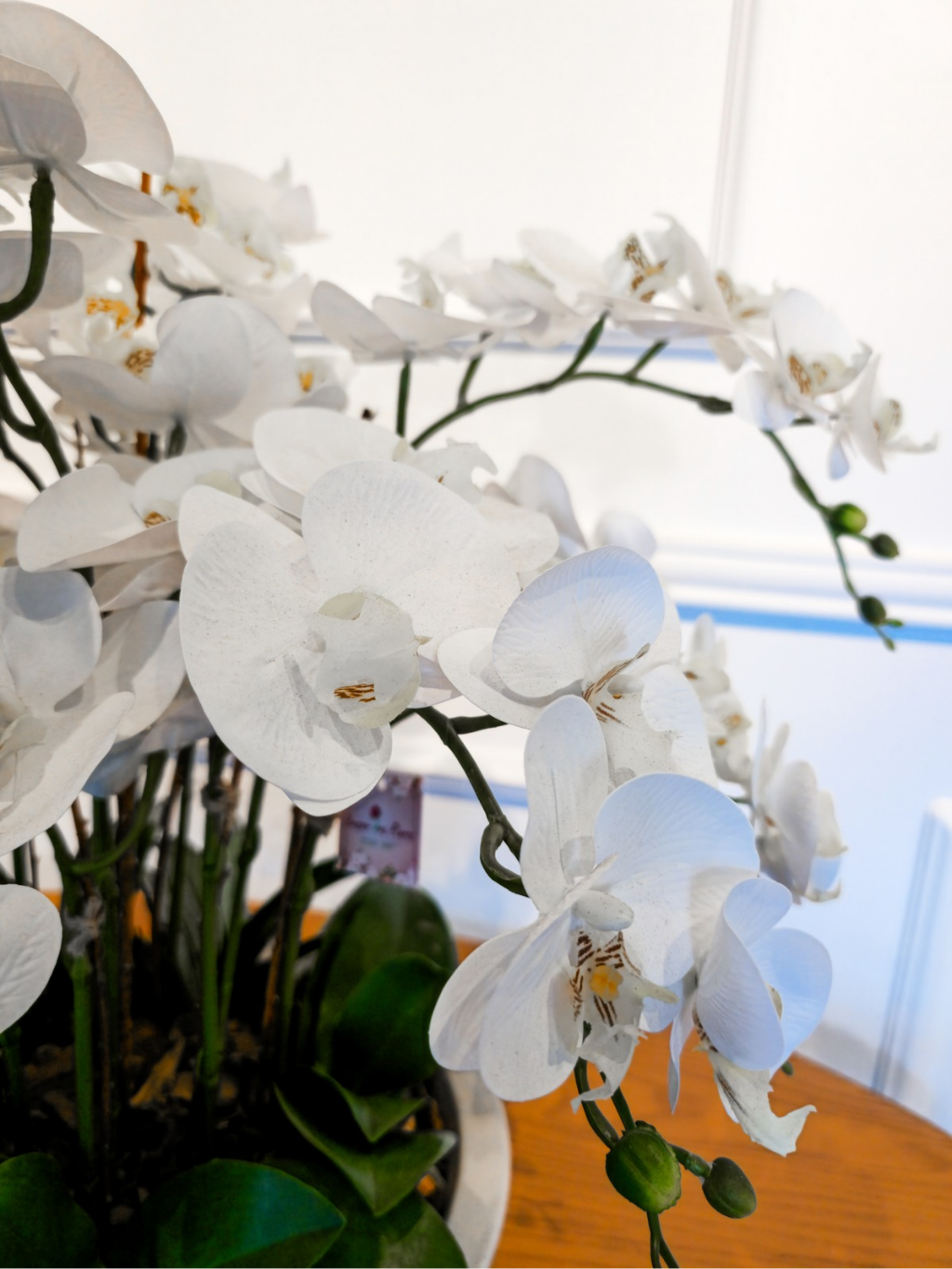 Arranjo Orquídeas Brancas Classic