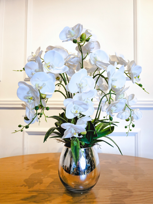 Arranjo Orquídeas Brancas Silver