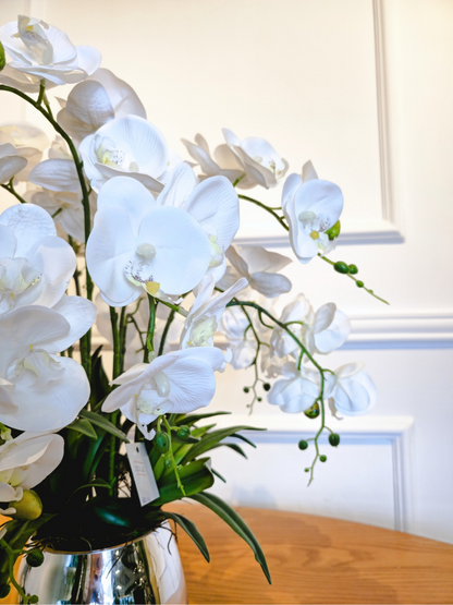 Arranjo Orquídeas Brancas Silver