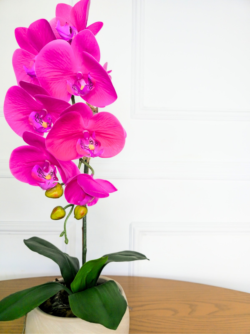 Arranjo Uno Orquídea Rosa Pink