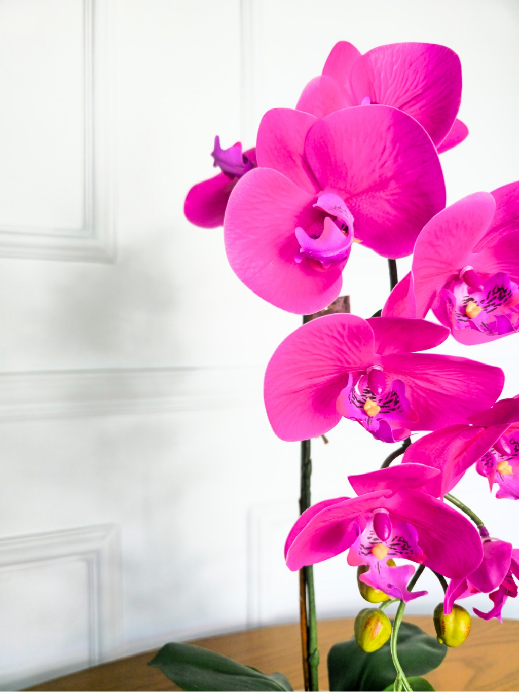 Arranjo Uno Orquídea Rosa Pink