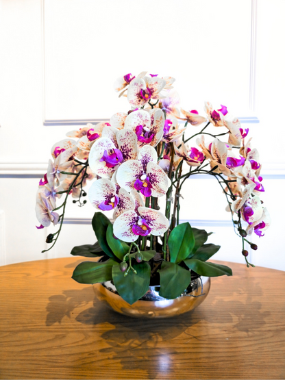 Arranjo Orquídeas Shine