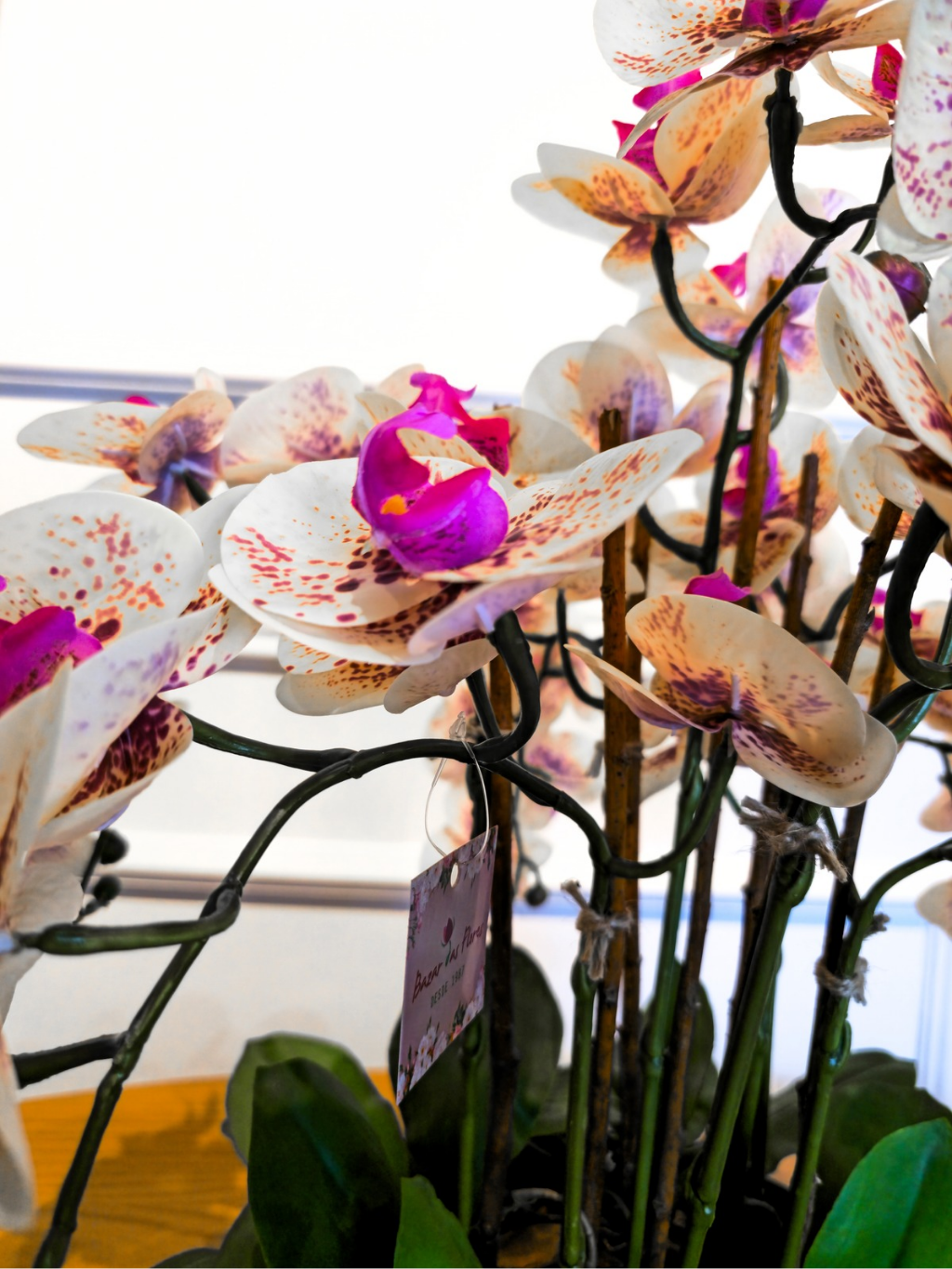 Arranjo Orquídeas Shine