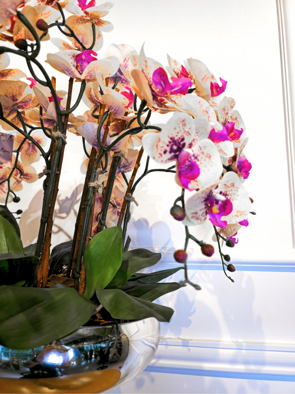 Arranjo Orquídeas Shine