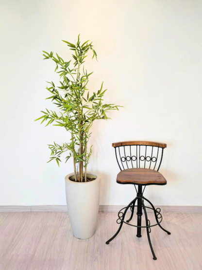 Árvore Hibrida de Bambu Japonês (1,20m H)