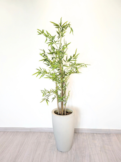 Árvore Hibrida de Bambu Japonês (1,20m H)