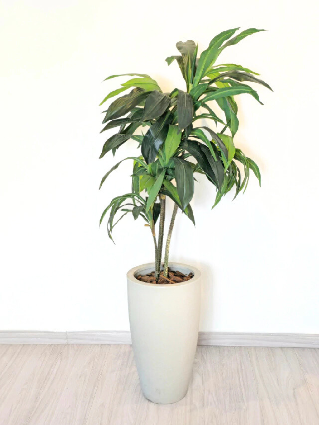 Árvore de Dracena Verde (1,20m H)