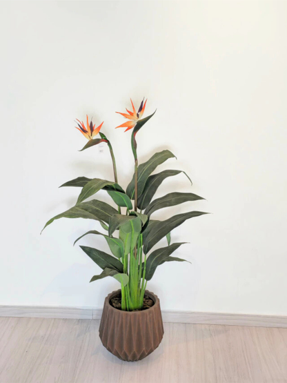 Árvore de Estrelícia (1,35m H)