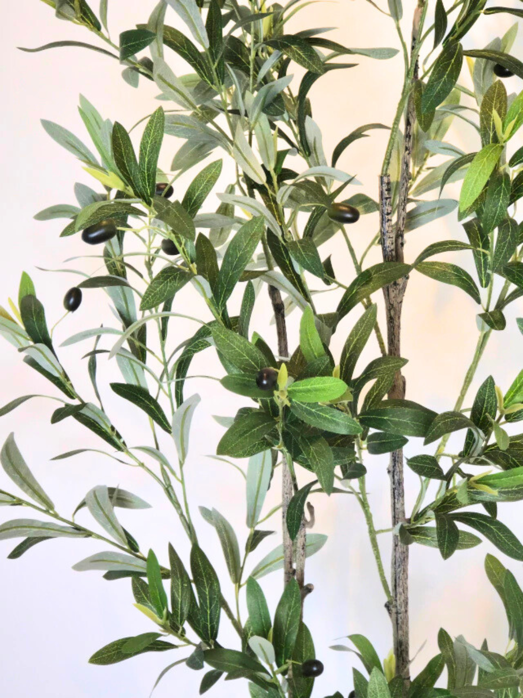 Árvore de Oliveira (1,30m H)