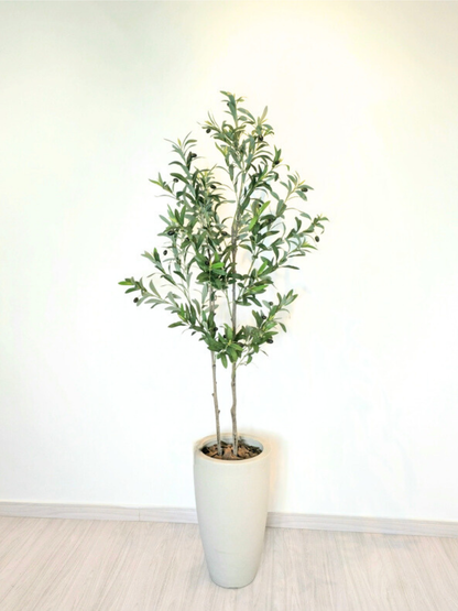 Árvore de Oliveira (1,30m H)