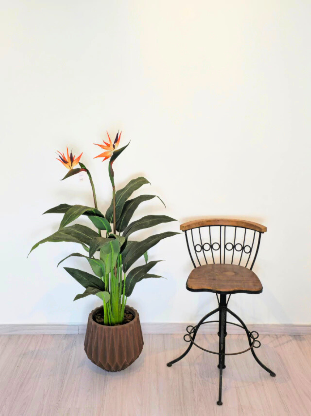 Árvore de Estrelícia (1,35m H)