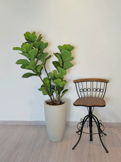 Árvore de Ficus Lyrata (1,20m H)