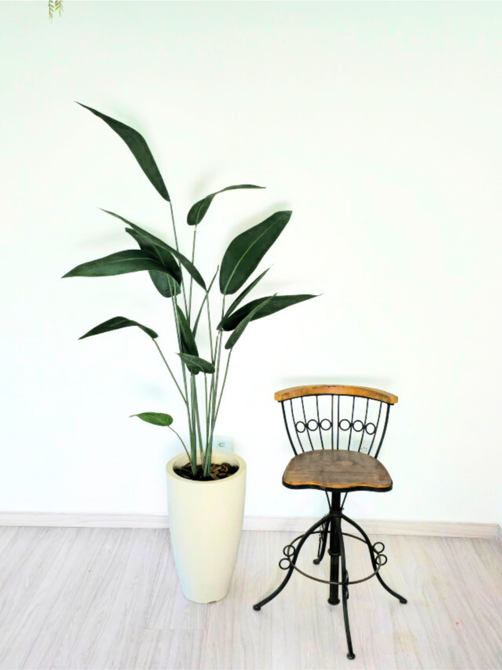 Árvore de Folha de Estrelícia (1,50m H)