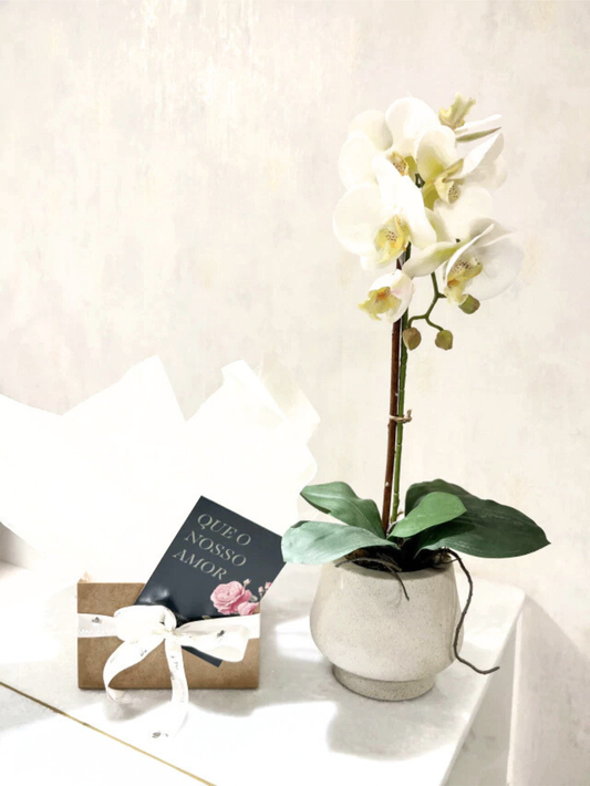 Box Arranjo de Orquídeas Branco