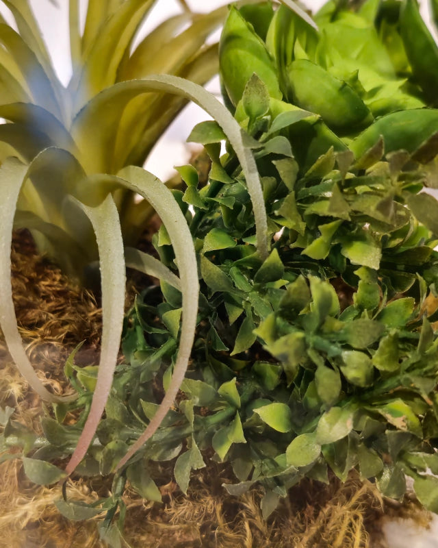 Flower Art Terrário