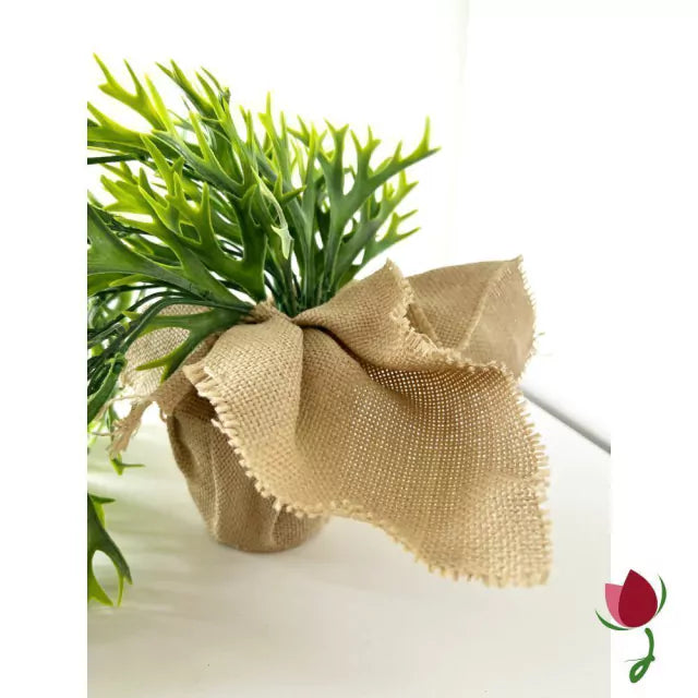 Folhagem Chifre de Veado