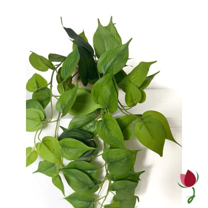 Folhagem Jiboia M (Verde)