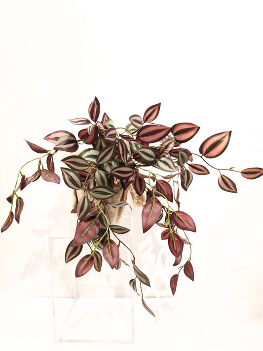 Folhagem Lambari (Roxo)