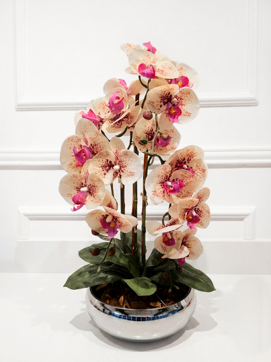 Arranjo Orquídeas Silver
