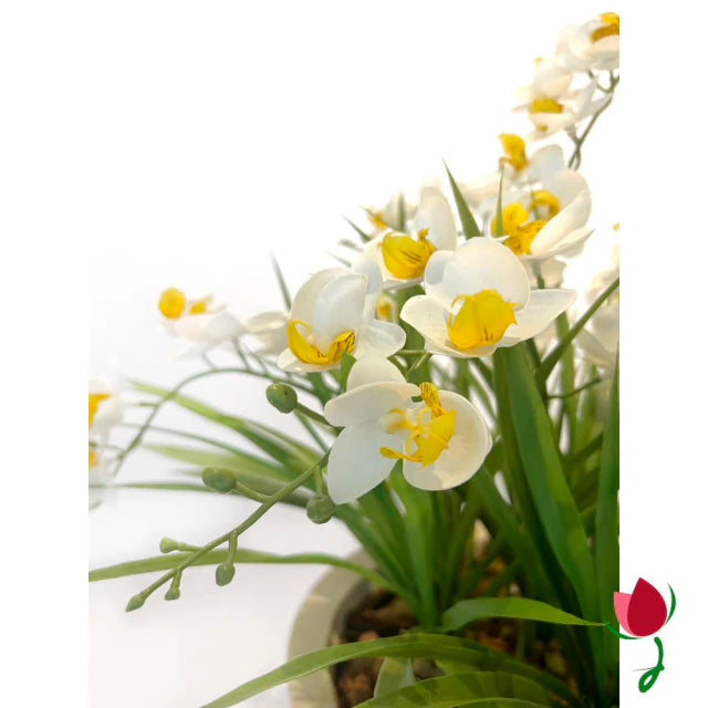 Orquídeas Bali G Brancas | Vaso Branco Mármore