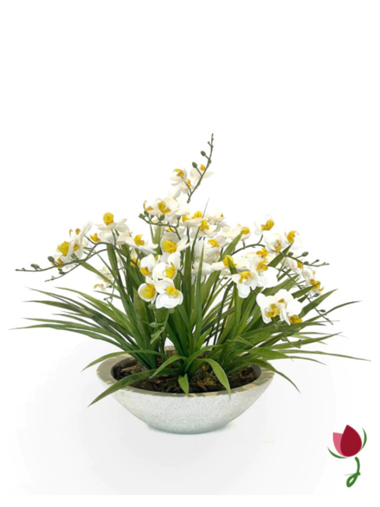 Orquídeas Bali G Brancas | Vaso Branco Mármore